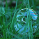 Illustration for article titled Refraction Shooting Challenge Gallery 2